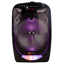 N-GEAR FLASH THE FLASH 1210/ BT speaker/ 300W/ USB/ MICRO SD/ DO/ 2x MIC