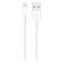 Apple Lightning to USB Cable (1m)