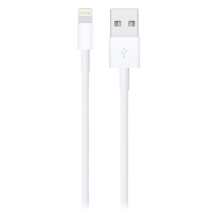 Apple Lightning to USB Cable (1m)