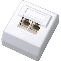 DATACOM Data socket UTP CAT6 2xRJ45 on plaster 45st. white