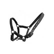 HELMER collar for GPS locator Helmer LK 515 - Head, for farm animals, e.g. horses and cows, with a neck circumference of up to 95 cm