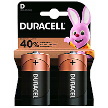 Duracell Basic alkaline battery 2 pcs (D)