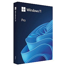 Microsoft Windows 11 for 64 -bit Czech USB FPP - Boxes