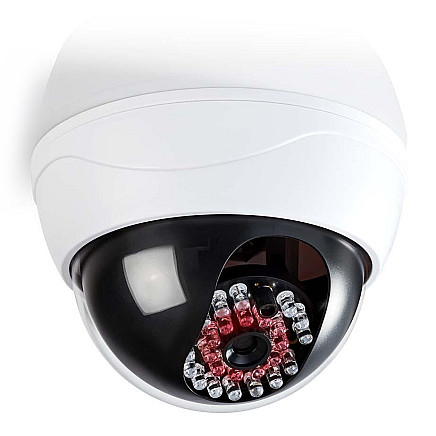 NEDIS dummy security camera with infrared LED/ dome/ IP44/ outdoor and indoor/ white