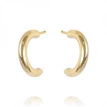 Earrings made of gold-plated stainless steel KST2838