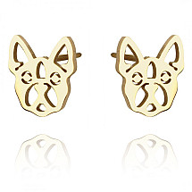 Earrings made of gold-plated stainless steel KST3049