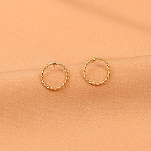 Delicate women's earrings K1527