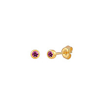 Stainless steel earrings plated with 14k gold, stud S925 KST3187