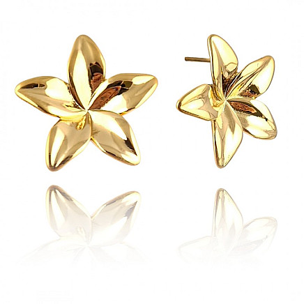 Earrings made of gold-plated stainless steel KST3228