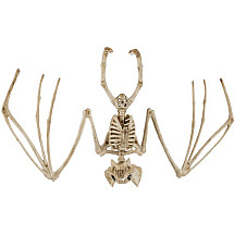 Interactive Large Bat Skeleton-Hanging Halloween Decoration with Movable Head & Jaw