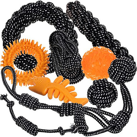Dog toy set - 10 pcs Purlov 24388