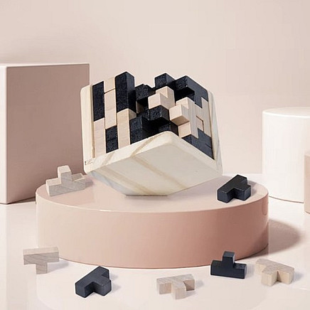 Wooden puzzle - brain teaser 24742