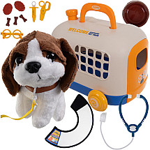 Little vet set with carrier