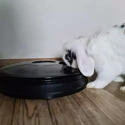 Automatic feed dispenser Purlov 20759