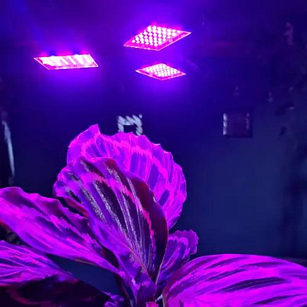 108 LED Hydroponic Plant Growth Lamp - Adjustable Photosynthesis Support Light for Indoor Flowers, Seedlings & Vegetables, Red and Blue Spectrum