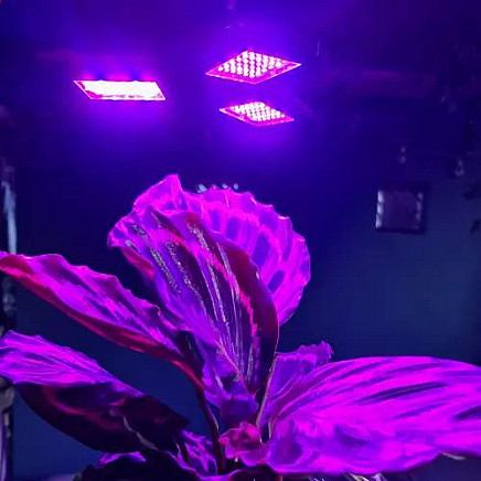 108 LED Hydroponic Plant Growth Lamp - Adjustable Photosynthesis Support Light for Indoor Flowers, Seedlings & Vegetables, Red and Blue Spectrum