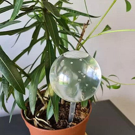 Irrigation balls - 8 pcs. Gardlov 21043