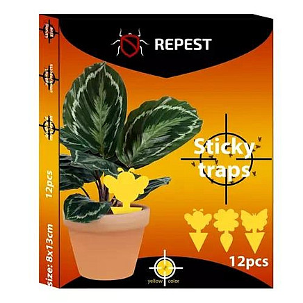 Insect glue - 12 pcs. Repest 19053