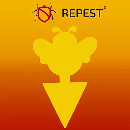 Insect glue - 12 pcs. Repest 19053