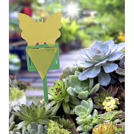 Insect glue - 12 pcs. Repest 19053