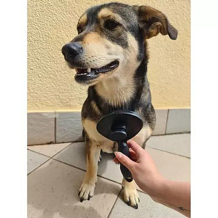 Self-cleaning fur brush