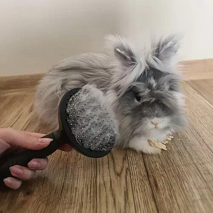 Self-cleaning fur brush