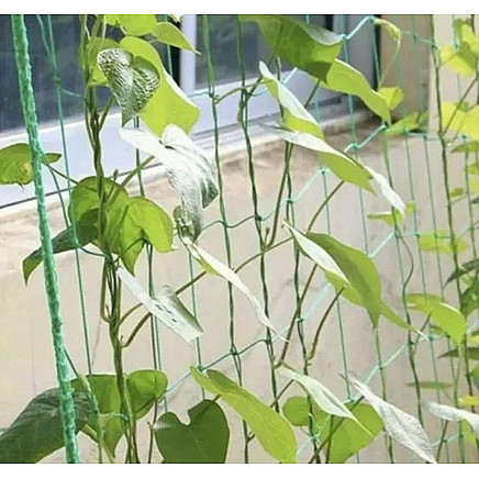 Mesh - plant support 2x10m Gardlov 23978