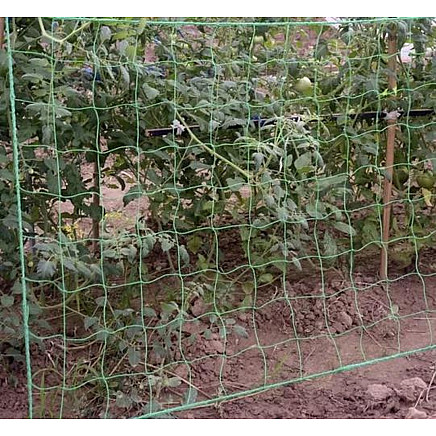 Mesh - plant support 2x10m Gardlov 23978