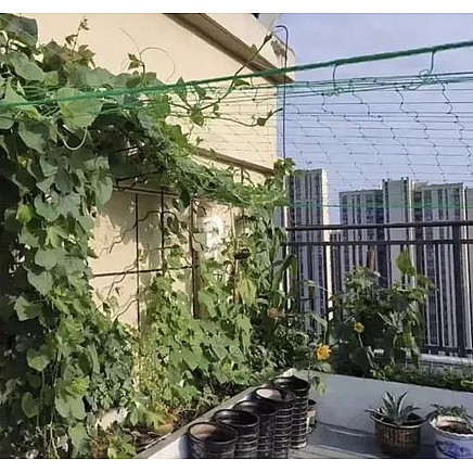 Mesh - plant support 2x20m Gardlov 23980