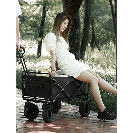 Gardlov 23084 foldable transport trolley