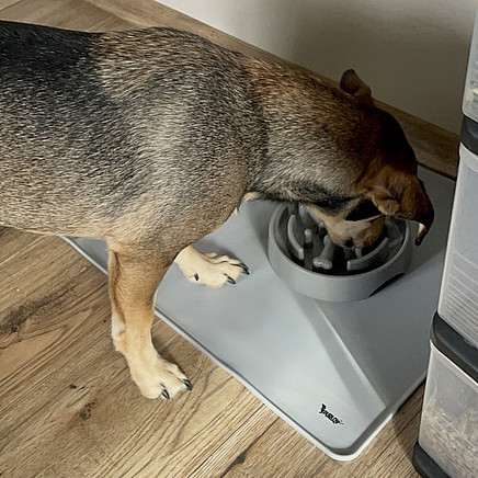 Silicone bowl pad Purlov 24295