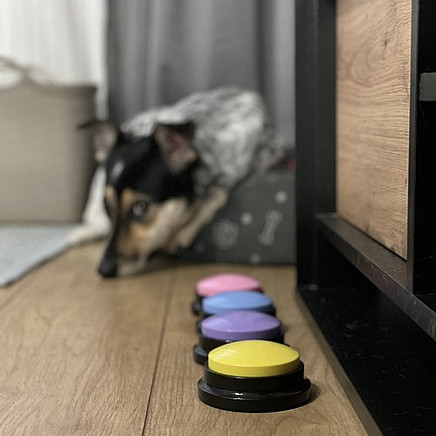 Animal Sound Buttons Purlov 24615