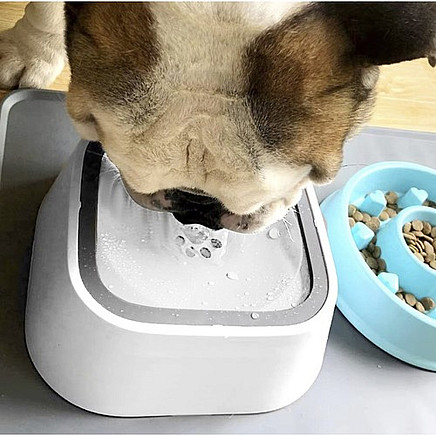 Water bowls - set of 2 Purlov 24342