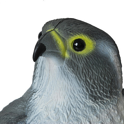 Bird scarer - falcon 23421