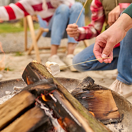 Garden fire pit 60 cm 25379