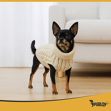 Dog/cat clothes size S beige Purlov 26216