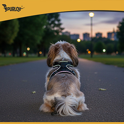 Pressure-free harness for animals M Purlov 26870