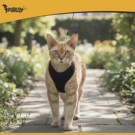 Pressure-free harness for animals XS Purlov 26869