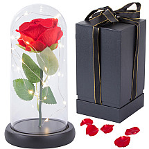 Eternal Rose in a Glass Dome with LED Lighting