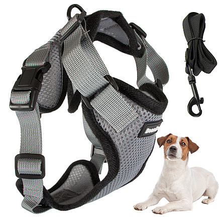 Harness for dog walk light soft strong L