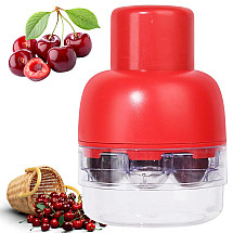 Cherry, sweet cherry and olive pitter with container, manual seed extractor