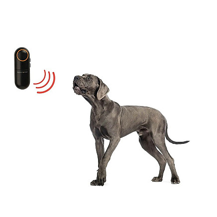 Electronic ultrasonic dog repellent