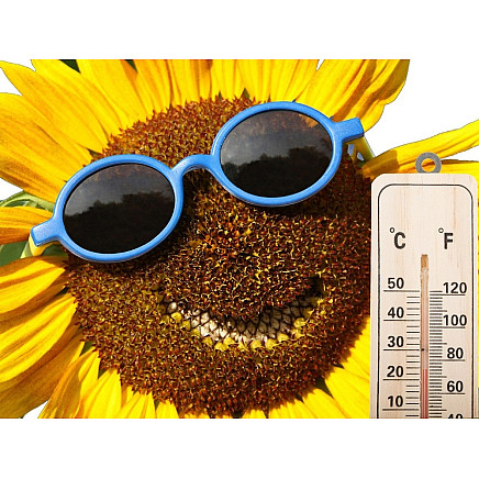 Domestic wood indoor outdoor thermometer