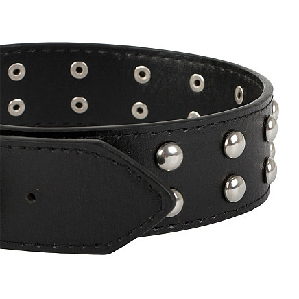 Studded dog collar eco leather adjustable l