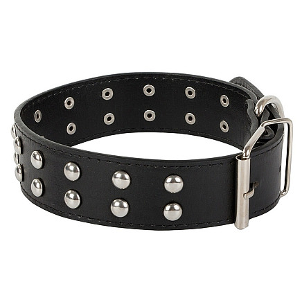 Studded dog collar eco leather adjustable l