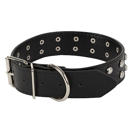 Studded dog collar eco leather adjustable l