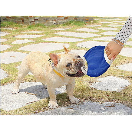 Dog toy chew tug rope frisbee disc