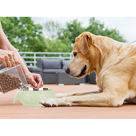 1200ml metal dog cat feeding bowl large