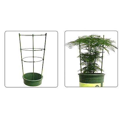 Flower ring plant support round