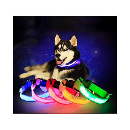 Led lighting collar for dogs and cats adjustable 59cm